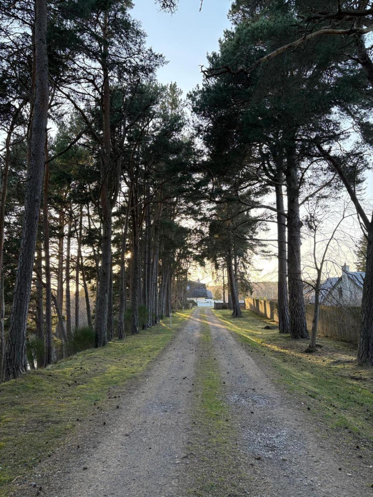 Dalrachney Lodge Carrbridge Exteriör bild